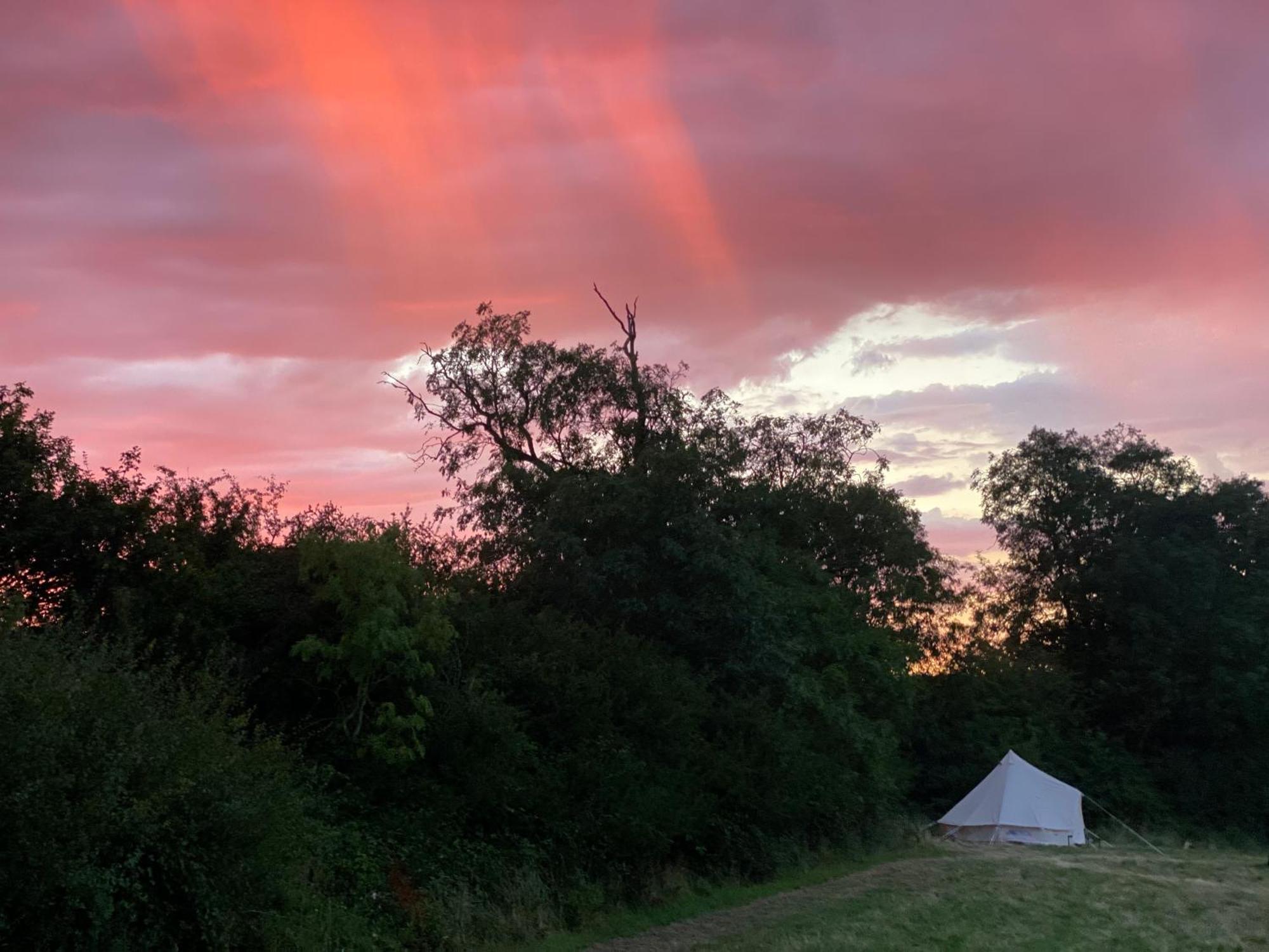 Bell Tent 4M Fossewold Farm Camping Moreton-in-Marsh Kültér fotó